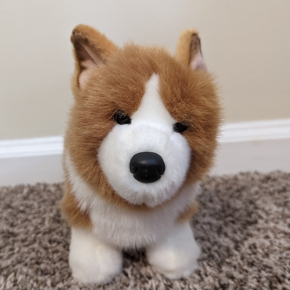 Small corgi plushie